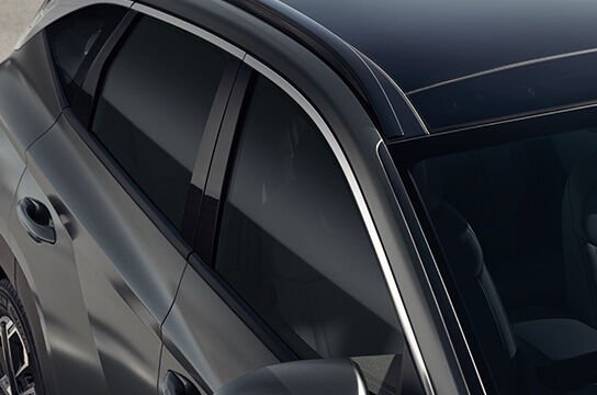 Шатырдағы рейлингтер / Панорамалық шатыр